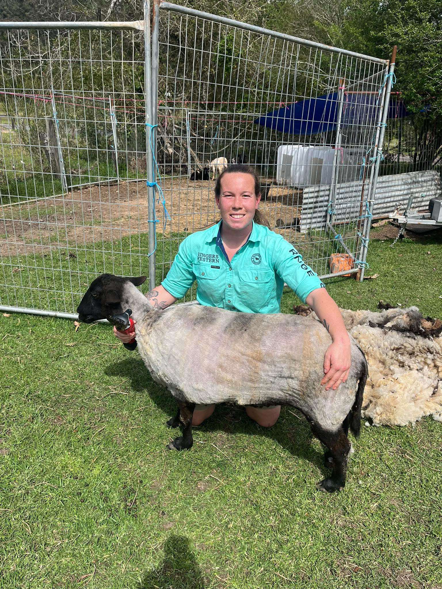 Management services for livestock