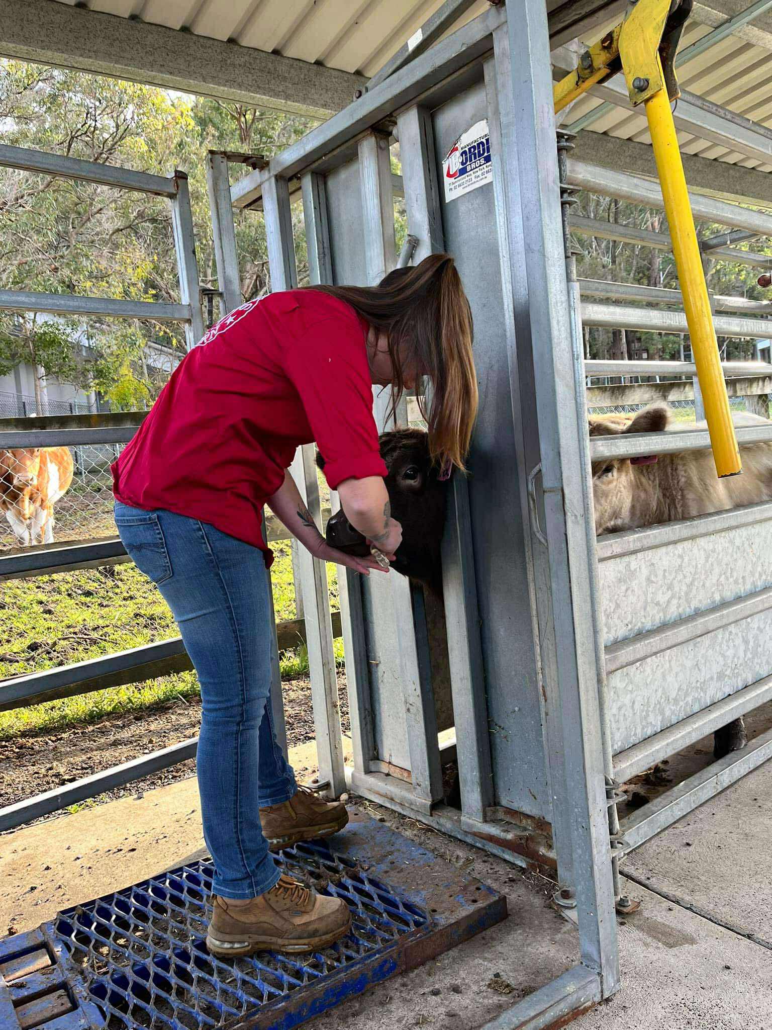 Health and care services for livestock