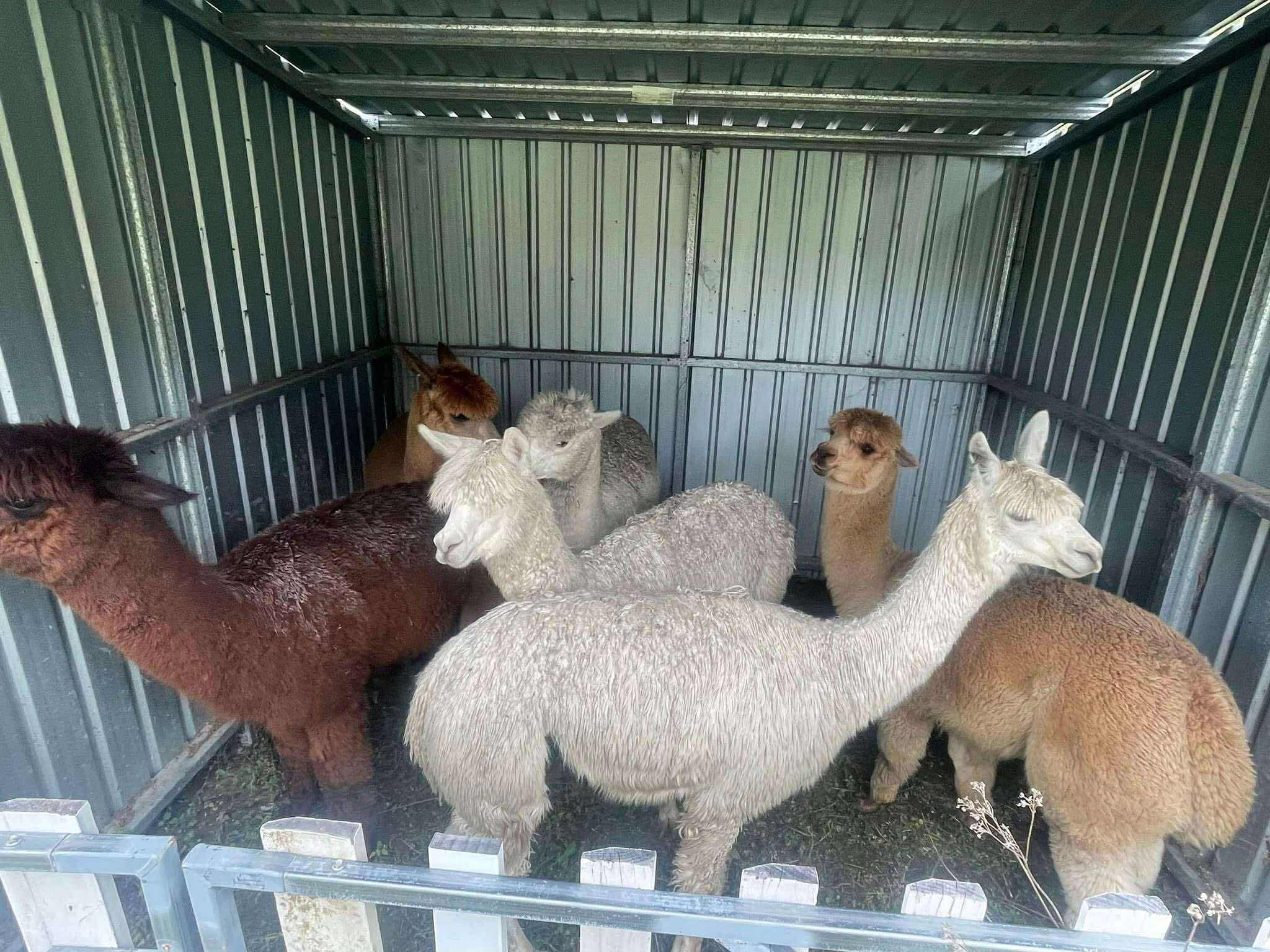 Mobile Shearing Unit