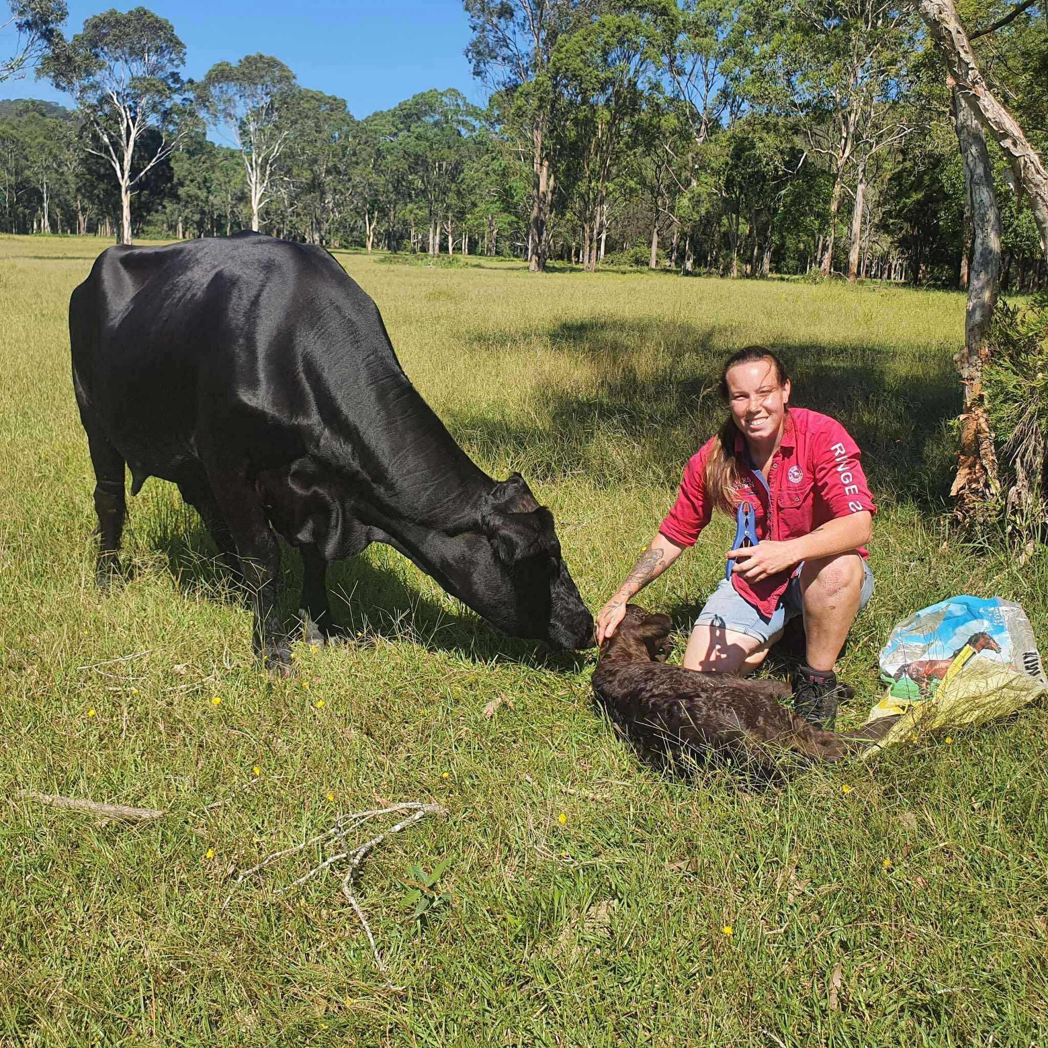 Professional livestock services