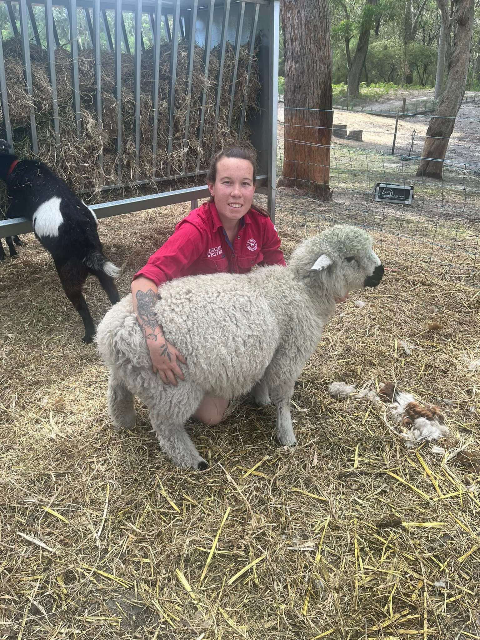 Livestock care services