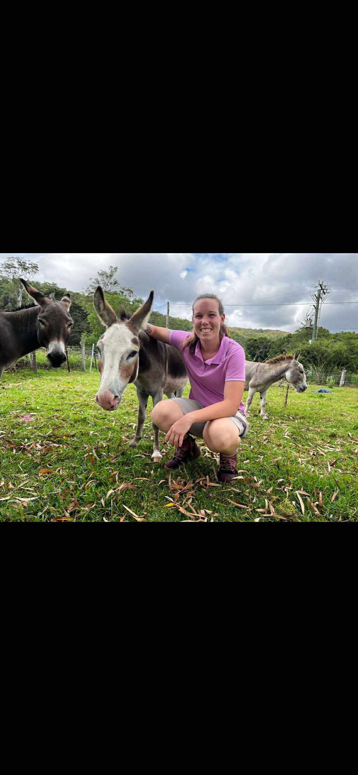 Professional livestock sitting